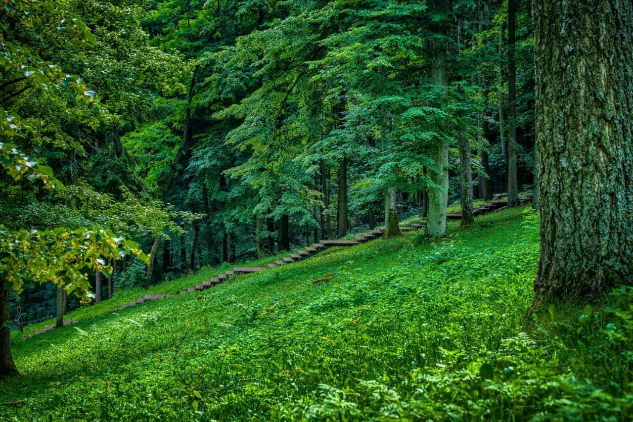 Vila Enklawa Mikolajki Exteriér fotografie